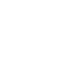 Play Icon